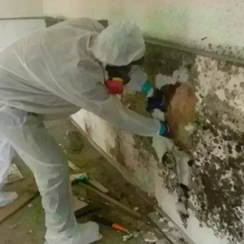 Mold Remediation and Removal in Turley, OK