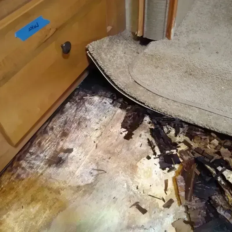 Wood Floor Water Damage in Turley, OK